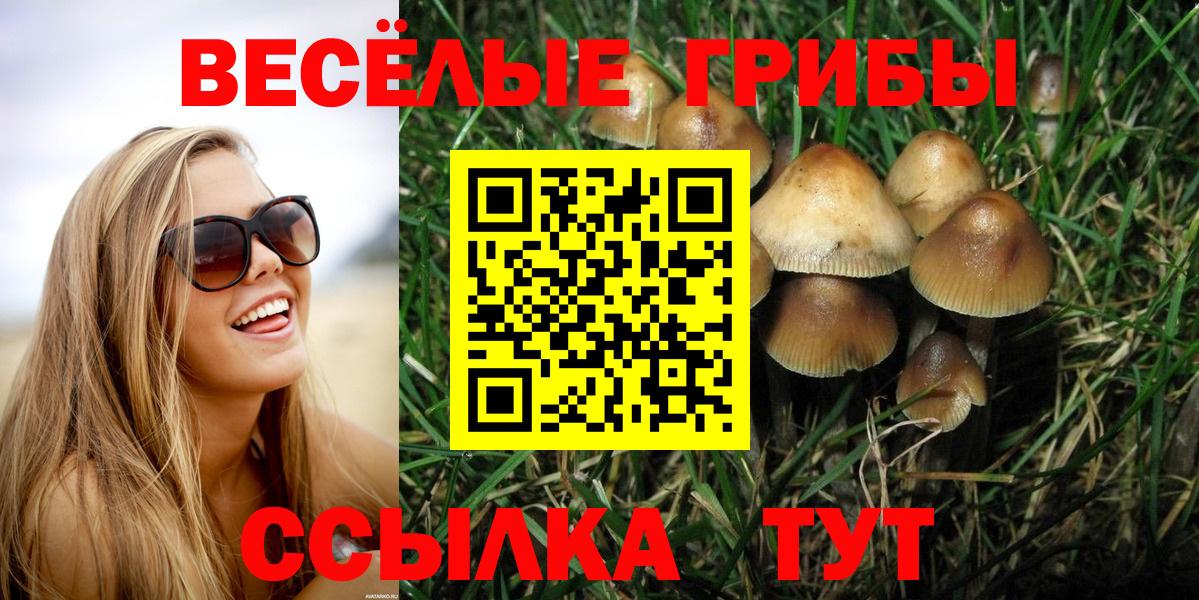 Электросталь  Галлюциногенные грибы прущие грибы  Вход с VPN 